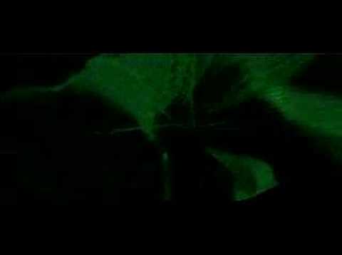 Daughter Darling Shattered remix